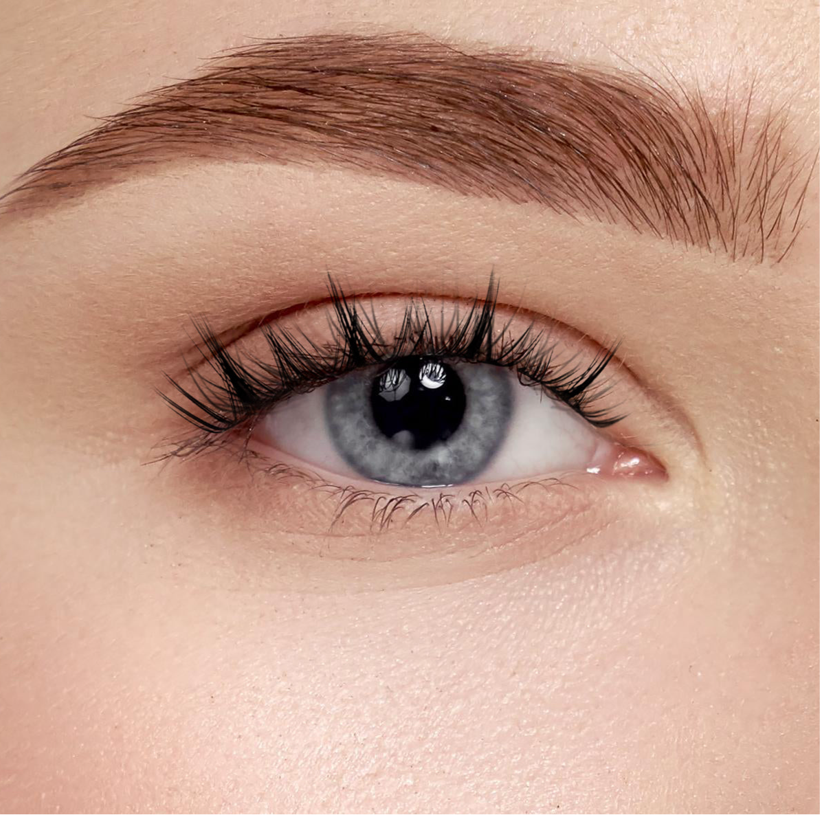 Fluffe Belle - Dramatic, Faux, Volume | Pre Glue | 5 to 10 days wear