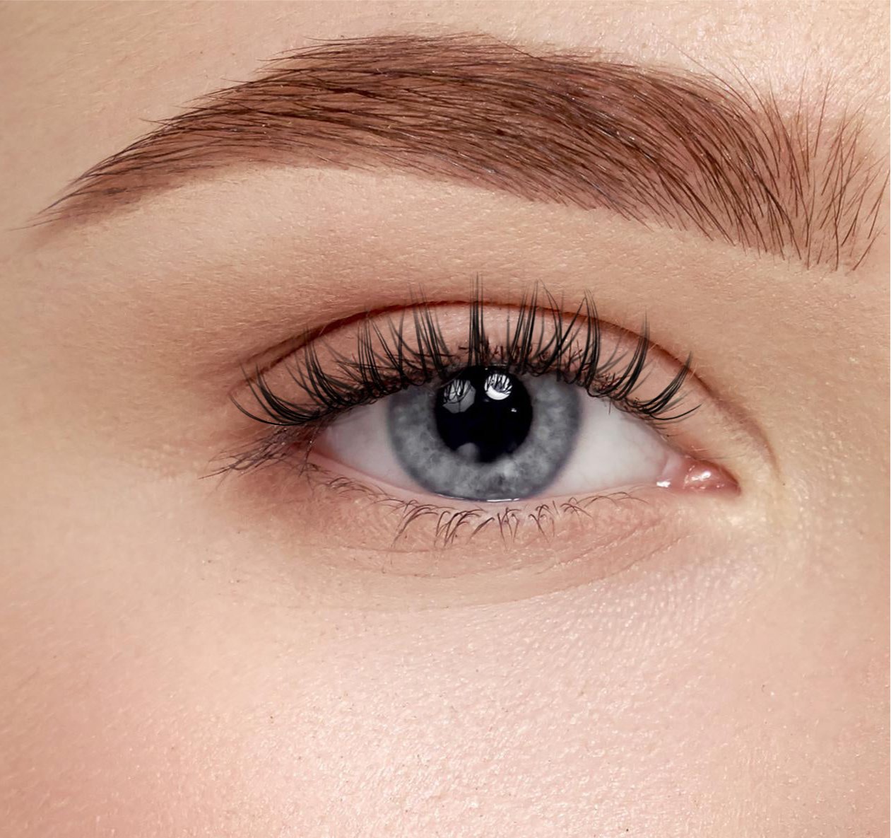 Dreamy Dove - Fluttery, Soft, Classic | Pre Glue | 5 to 10 days wear