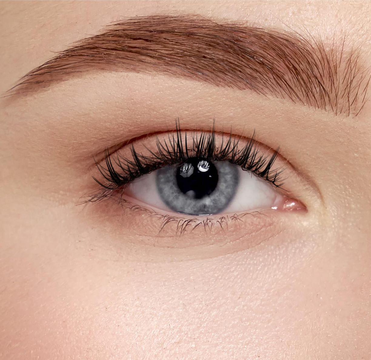 Flutter Fawn - Wispy, Fluffy, Gorgeous | Pre Glue | 5 to 10 days wear