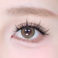 Fluffe Belle - Dramatic, Faux, Volume | Pre Glue | 5 to 10 days wear