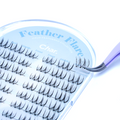 Feather Flare - Natural, Subtle, Lightweight| Pre Glue | 5 to 10 days wear